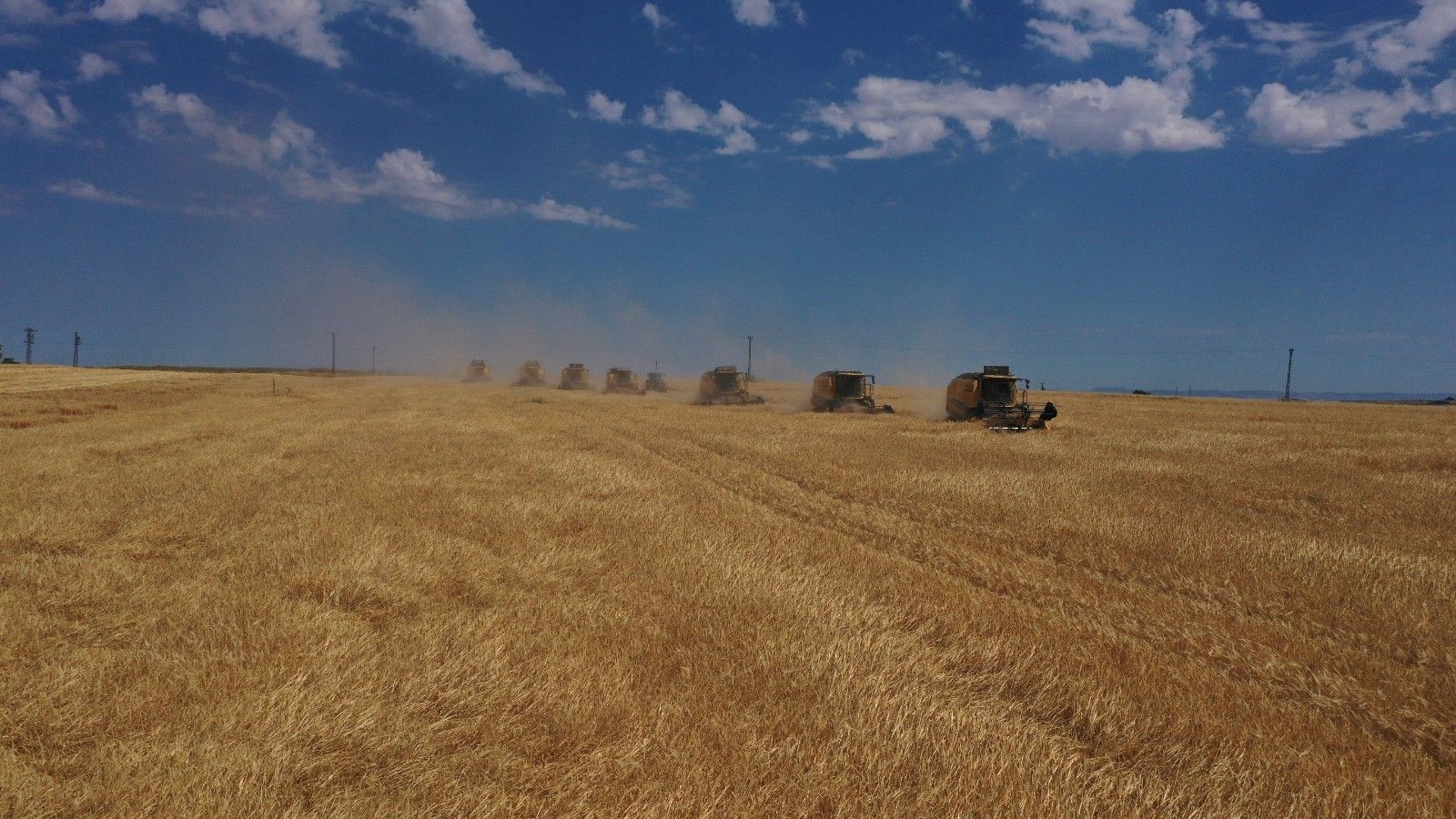 CEYLANPINAR TİGEM’DE HASAT SEZONU BAŞLADI