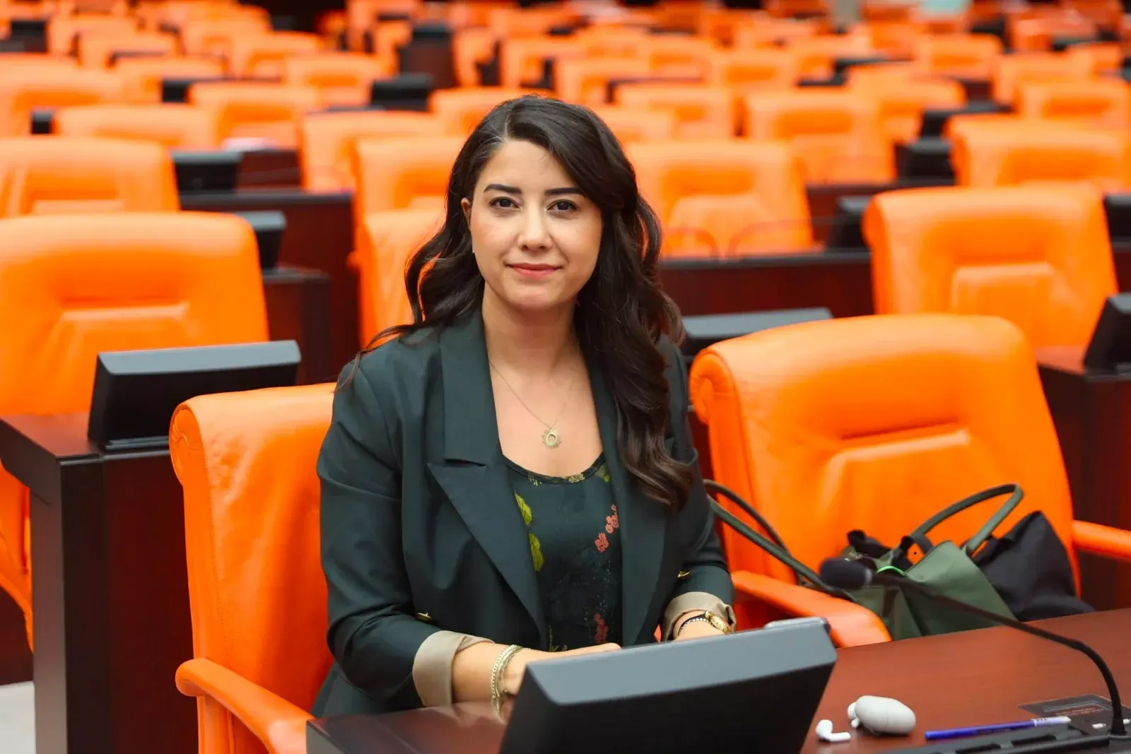 DEM Partili Ayan’dan Kadına Yönelik Şiddet İçin Meclis Araştırması Talebi