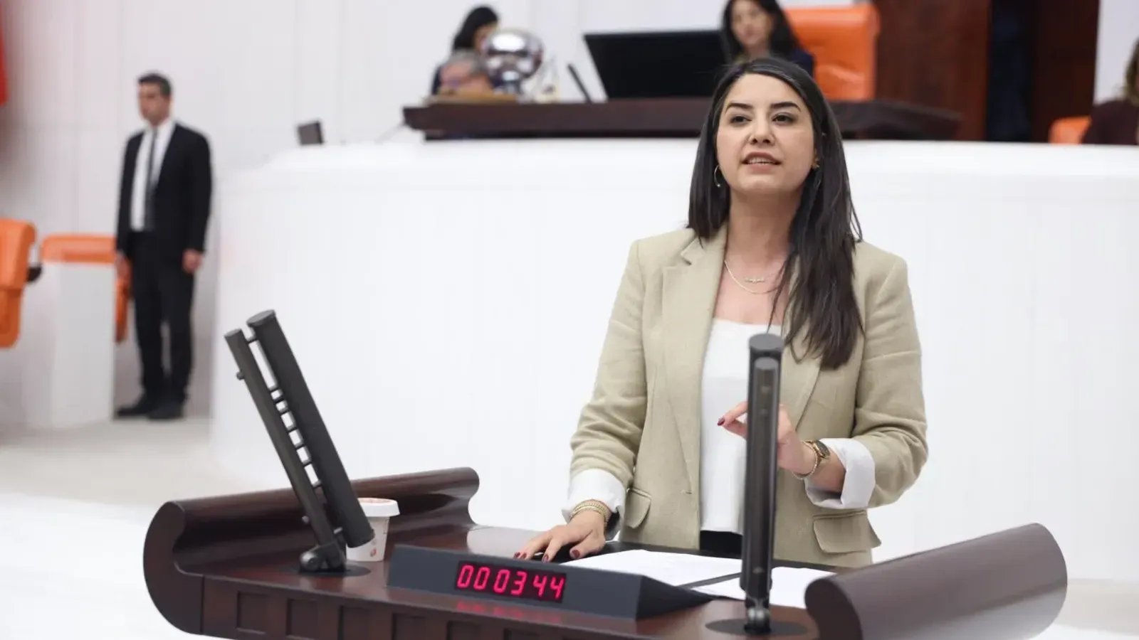 DEM Parti’li Ayan’dan mevsimlik tarım işçileri için Meclis araştırması talebi