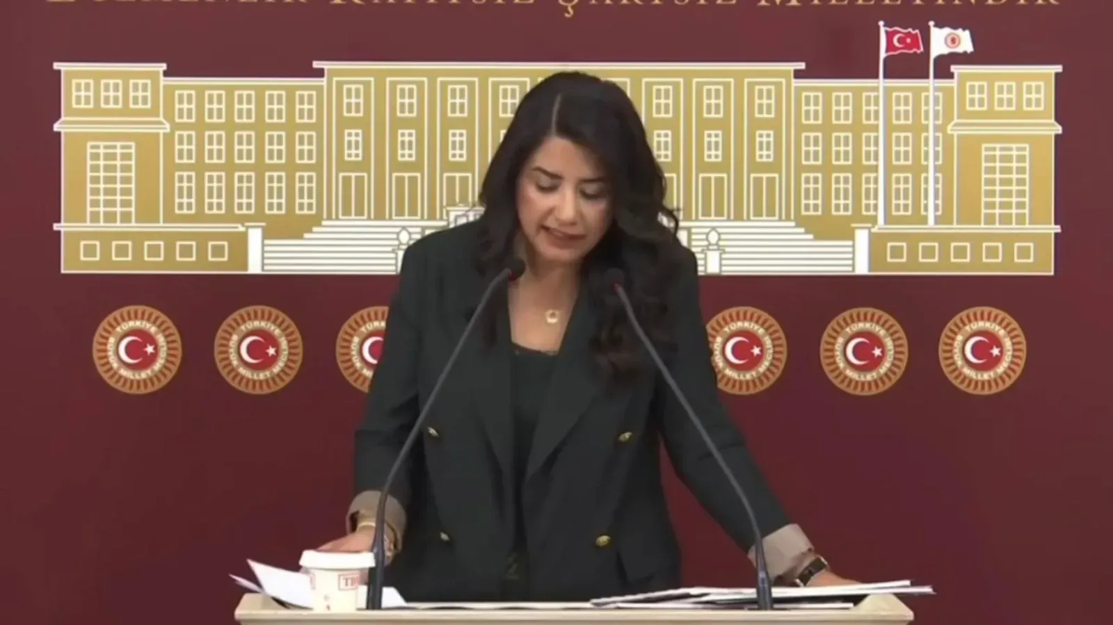 Dilan Kunt Ayan: “Ceylanpınar-Kızıltepe yolu bir an önce tamamlanmalı”