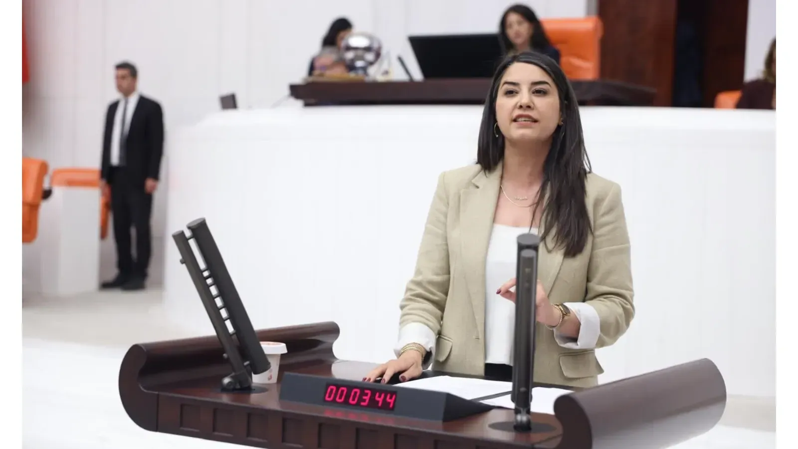 Dilan Kunt Ayan, Şanlıurfa’daki Boğulma Vakalarını Meclis Gündemine Taşıdı