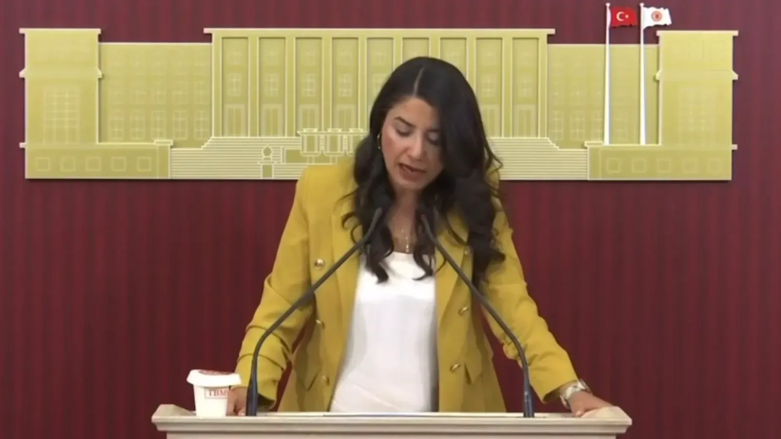 DEM Partili Dilan Kunt Ayan: “Buğday Pazarı Şehir Dışına Taşınmalı”