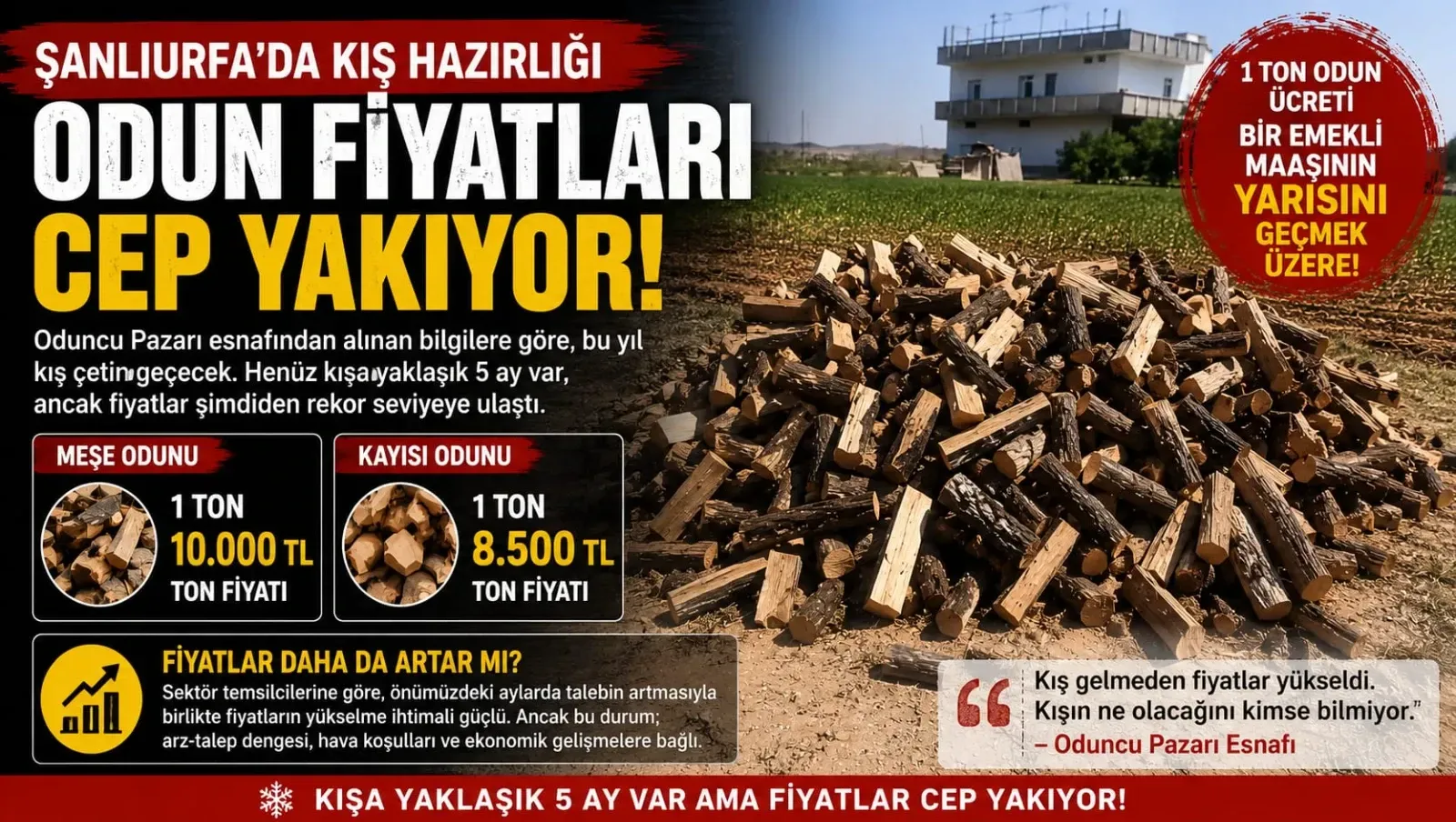 Kış Gelmeden Zam Geldi! Şanlıurfa’da Odun Fiyatları Cep Yakıyor