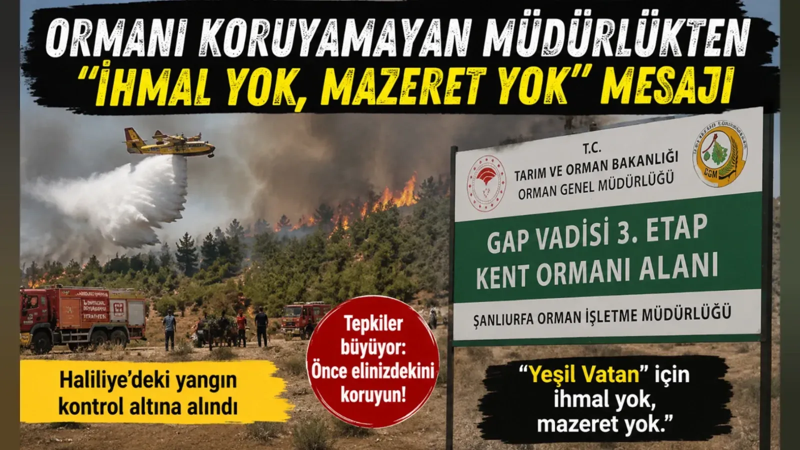 Ormanı Koruyamayan Müdürlükten “İhmal Yok, Mazeret Yok” Mesajı