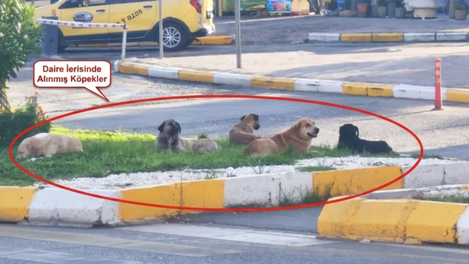 Şanlıurfa’nın Vitrinine Bu Görüntüler Yakışmıyor