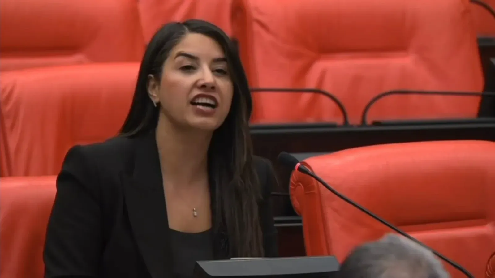 TBMM’de Gündem Akçakale: Ayan’dan Başkan Ayhan Hakkında Soruşturma Çağrısı