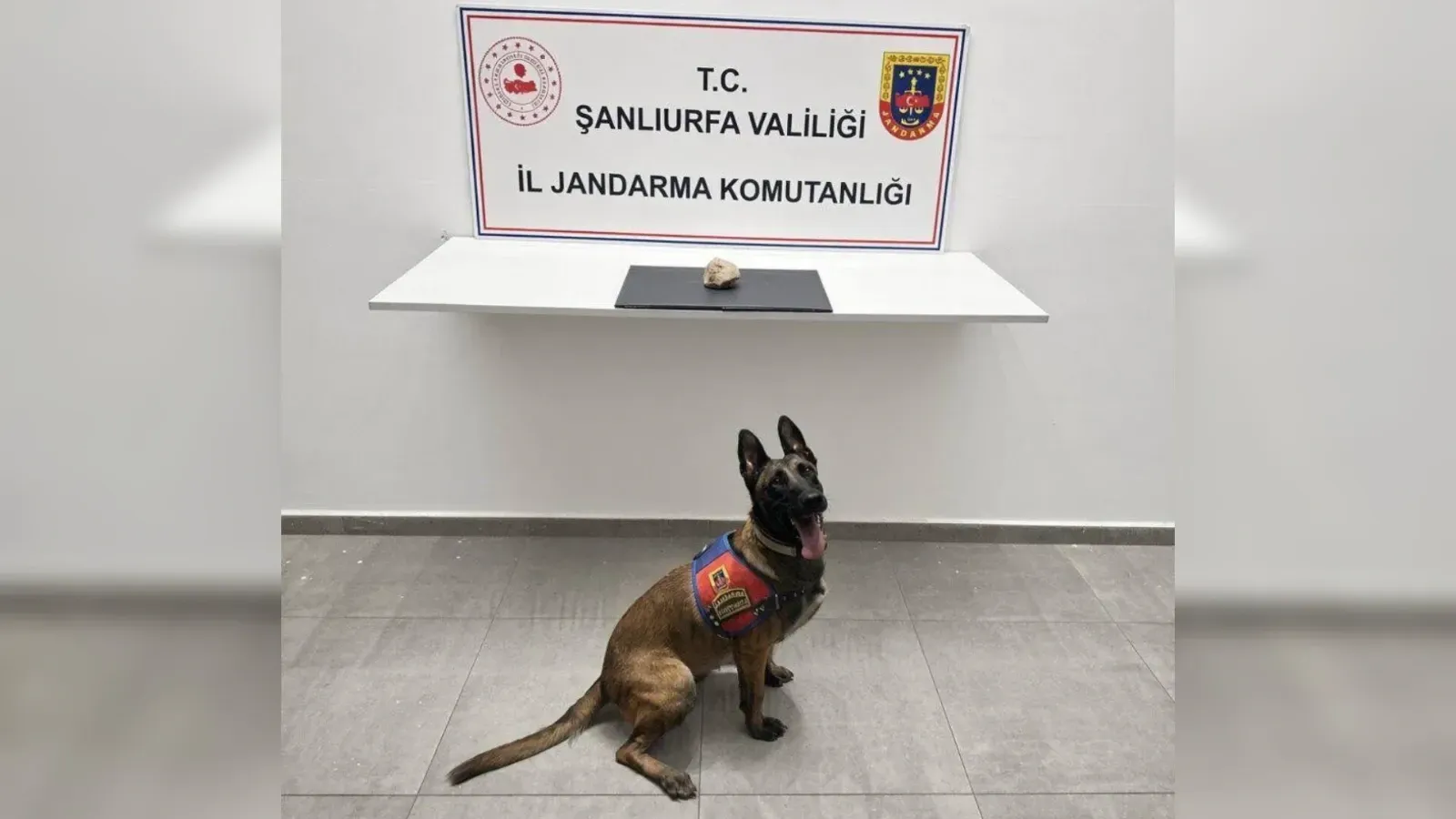 Şanlıurfa’da Jandarmadan Narkotik Operasyonu: 500 Gram Sentetik Kannabinoid Ele Geçirildi