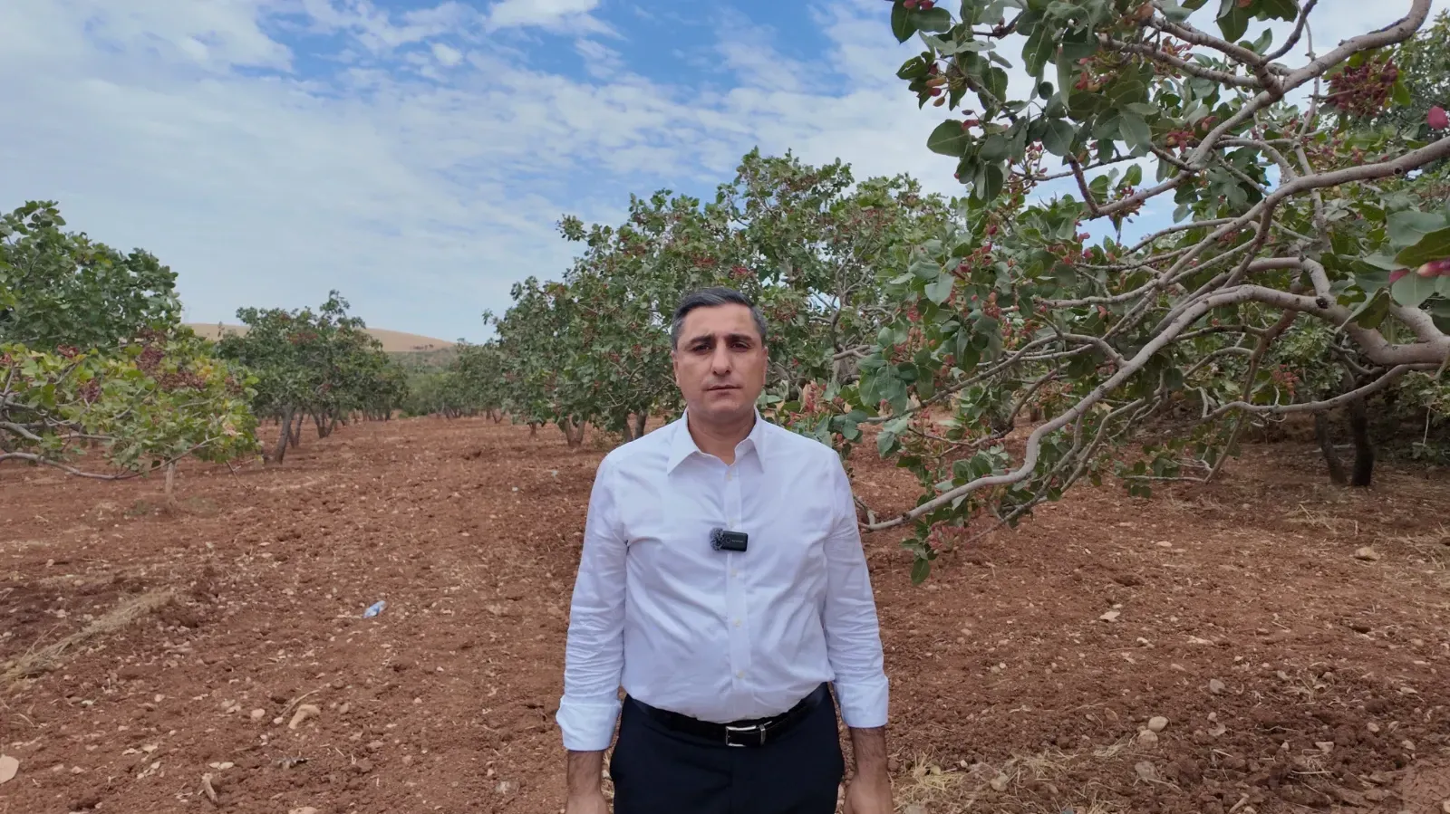 CHP Şanlıurfa İl Başkanı Karadağ: Maliyet Fıstık Üreticisini Eziyor
