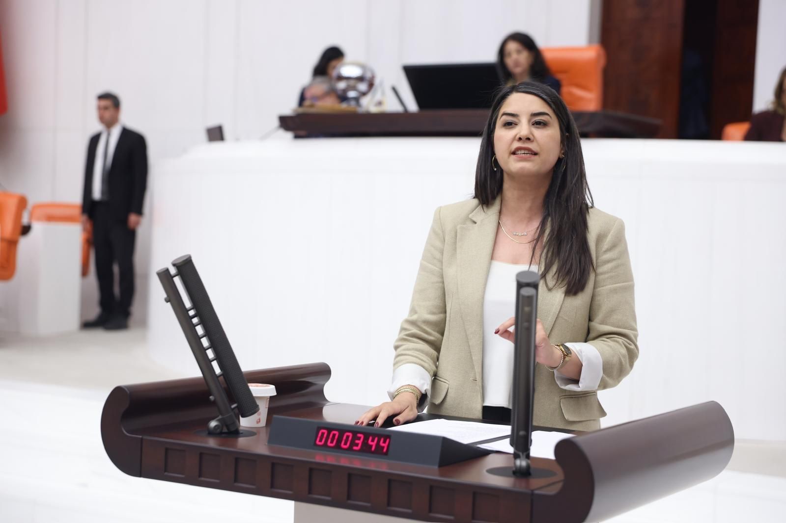 Dilan Kunt Ayan’dan Urfa’nın Eğitim Sorunları İçin Meclis Araştırması Talebi