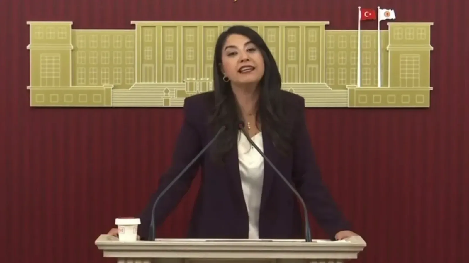Dilan Kunt Ayan’dan Şanlıurfa İçin Deprem Uyarısı: “Urfa Depreme Hazır mı?”